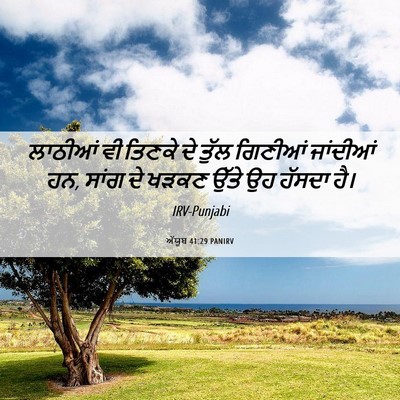Picture 06 - ਅੱਯੂਬ 41:29 PANIRV - ਲਾਠੀਆਂ ਵੀ ਤਿਣਕੇ ਦੇ - Bible Verse Picture