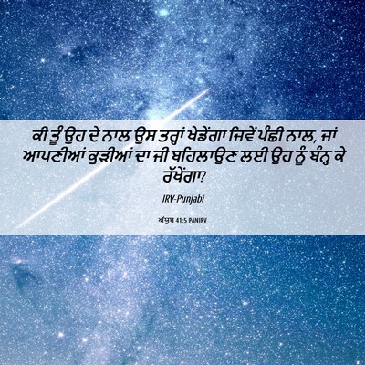 Picture 06 - ਅੱਯੂਬ 41:5 PANIRV - ਕੀ ਤੂੰ ਉਹ ਦੇ ਨਾਲ ਉਸ - Bible Verse Picture
