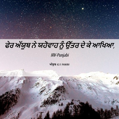Picture 06 - ਅੱਯੂਬ 42:1 PANIRV - ਫੇਰ ਅੱਯੂਬ ਨੇ - Bible Verse Picture