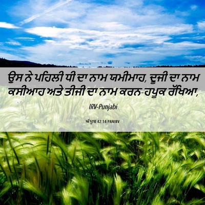 Picture 06 - ਅੱਯੂਬ 42:14 PANIRV - ਉਸ ਨੇ ਪਹਿਲੀ ਧੀ ਦਾ - Bible Verse Picture