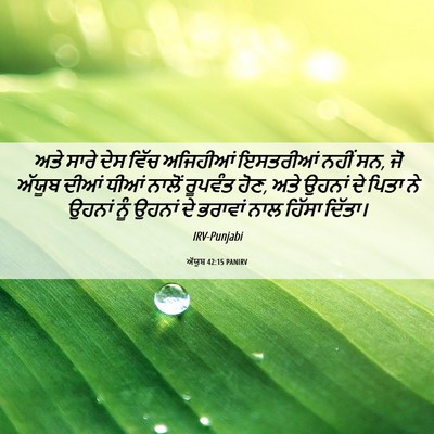 Picture 06 - ਅੱਯੂਬ 42:15 PANIRV - ਅਤੇ ਸਾਰੇ ਦੇਸ ਵਿੱਚ - Bible Verse Picture