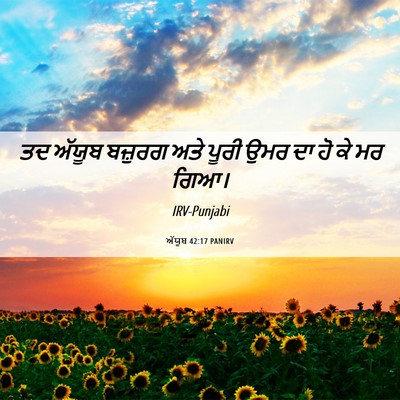 Picture 06 - ਅੱਯੂਬ 42:17 PANIRV - ਤਦ ਅੱਯੂਬ ਬਜ਼ੁਰਗ - Bible Verse Picture