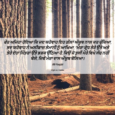 Picture 06 - ਅੱਯੂਬ 42:7 PANIRV - ਫੇਰ ਅਜਿਹਾ ਹੋਇਆ ਕਿ - Bible Verse Picture