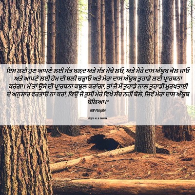 Picture 06 - ਅੱਯੂਬ 42:8 PANIRV - ਇਸ ਲਈ ਹੁਣ ਆਪਣੇ ਲਈ - Bible Verse Picture