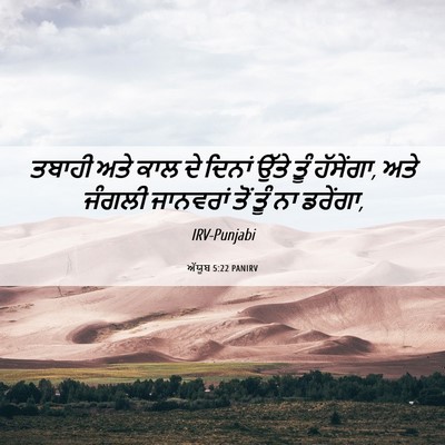 Picture 06 - ਅੱਯੂਬ 5:22 PANIRV - ਤਬਾਹੀ ਅਤੇ ਕਾਲ ਦੇ - Bible Verse Picture