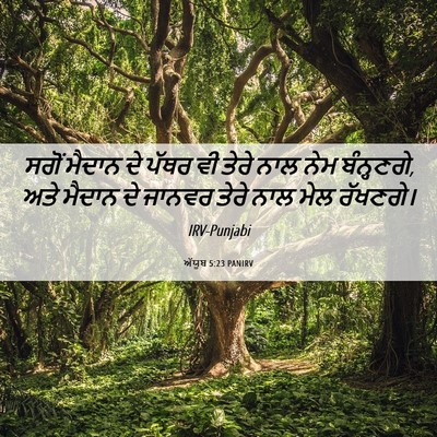 Picture 06 - ਅੱਯੂਬ 5:23 PANIRV - ਸਗੋਂ ਮੈਦਾਨ ਦੇ ਪੱਥਰ - Bible Verse Picture