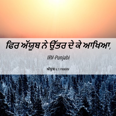 Picture 06 - ਅੱਯੂਬ 6:1 PANIRV - ਫਿਰ ਅੱਯੂਬ ਨੇ ਉੱਤਰ - Bible Verse Picture