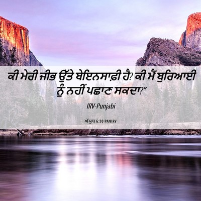 Picture 06 - ਅੱਯੂਬ 6:30 PANIRV - ਕੀ ਮੇਰੀ ਜੀਭ ਉੱਤੇ - Bible Verse Picture
