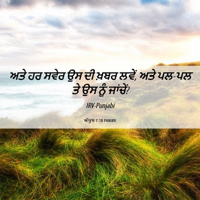 Picture 06 - ਅੱਯੂਬ 7:18 PANIRV - ਅਤੇ ਹਰ ਸਵੇਰ ਉਸ ਦੀ - Bible Verse Picture
