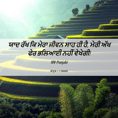 Picture 06 - ਅੱਯੂਬ 7:7 PANIRV - ਯਾਦ ਰੱਖ ਕਿ ਮੇਰਾ - Bible Verse Picture