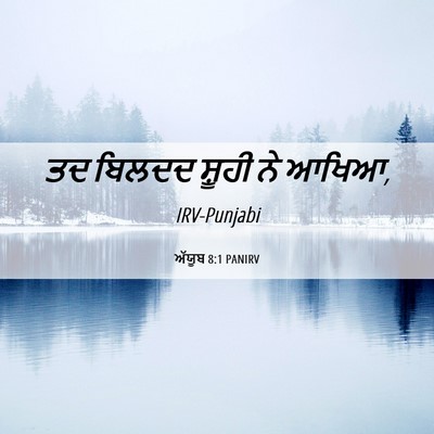 Picture 06 - ਅੱਯੂਬ 8:1 PANIRV - ਤਦ ਬਿਲਦਦ ਸ਼ੂਹੀ ਨੇ - Bible Verse Picture