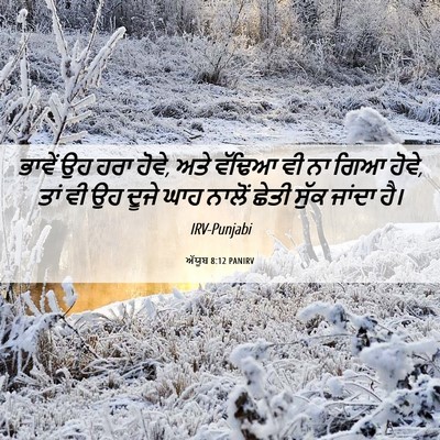 Picture 06 - ਅੱਯੂਬ 8:12 PANIRV - ਭਾਵੇਂ ਉਹ ਹਰਾ ਹੋਵੇ, - Bible Verse Picture