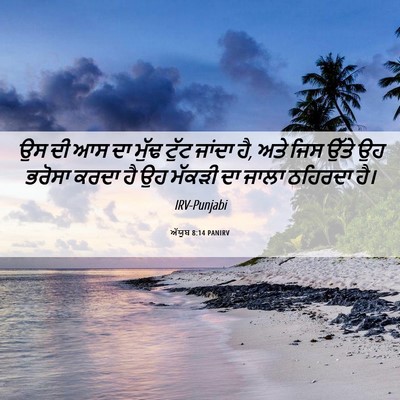 Picture 06 - ਅੱਯੂਬ 8:14 PANIRV - ਉਸ ਦੀ ਆਸ ਦਾ ਮੁੱਢ - Bible Verse Picture