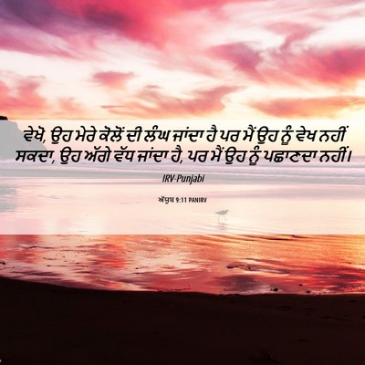 Picture 06 - ਅੱਯੂਬ 9:11 PANIRV - ਵੇਖੋ, ਉਹ ਮੇਰੇ ਕੋਲੋਂ - Bible Verse Picture