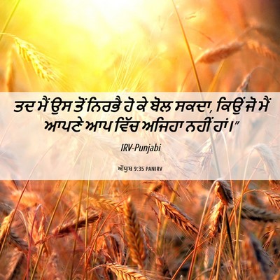 Picture 06 - ਅੱਯੂਬ 9:35 PANIRV - ਤਦ ਮੈਂ ਉਸ ਤੋਂ ਨਿਰਭੈ - Bible Verse Picture