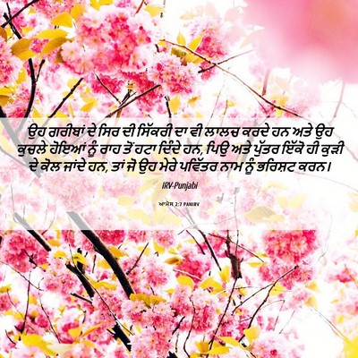 Picture 06 - ਆਮੋਸ 2:7 PANIRV - ਉਹ ਗਰੀਬਾਂ ਦੇ ਸਿਰ ਦੀ - Bible Verse Picture