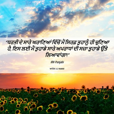 Picture 06 - ਆਮੋਸ 3:2 PANIRV - “ਧਰਤੀ ਦੇ ਸਾਰੇ - Bible Verse Picture