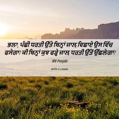 Picture 06 - ਆਮੋਸ 3:5 PANIRV - ਭਲਾ, ਪੰਛੀ ਧਰਤੀ ਉੱਤੇ - Bible Verse Picture