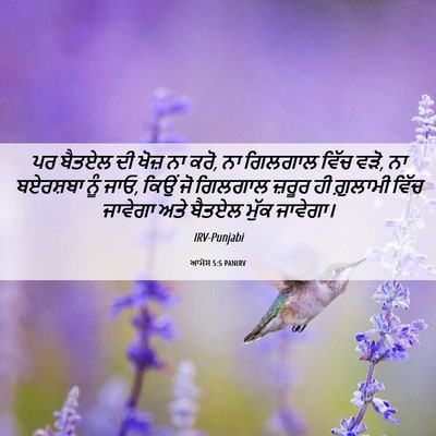 Picture 06 - ਆਮੋਸ 5:5 PANIRV - ਪਰ ਬੈਤਏਲ ਦੀ ਖੋਜ਼ ਨਾ - Bible Verse Picture