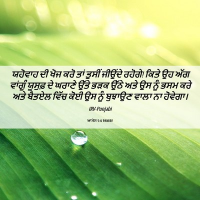 Picture 06 - ਆਮੋਸ 5:6 PANIRV - ਯਹੋਵਾਹ ਦੀ ਖੋਜ ਕਰੋ - Bible Verse Picture