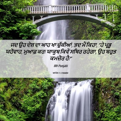 Picture 06 - ਆਮੋਸ 7:2 PANIRV - ਜਦ ਉਹ ਦੇਸ਼ ਦਾ ਘਾਹ - Bible Verse Picture