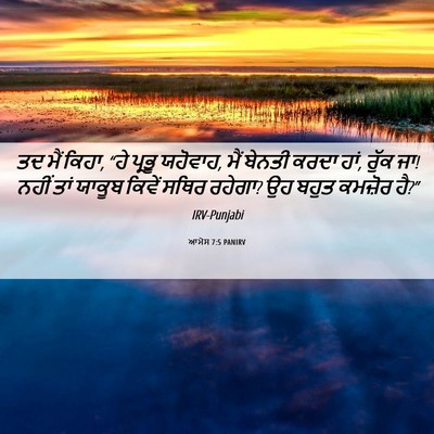 Picture 06 - ਆਮੋਸ 7:5 PANIRV - ਤਦ ਮੈਂ ਕਿਹਾ, “ਹੇ - Bible Verse Picture