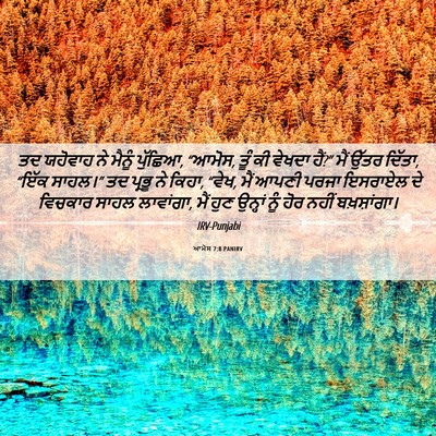 Picture 06 - ਆਮੋਸ 7:8 PANIRV - ਤਦ ਯਹੋਵਾਹ ਨੇ ਮੈਨੂੰ - Bible Verse Picture
