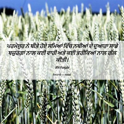 Picture 06 - ਇਬਰਾਨੀ 1:1 PANIRV - ਪਰਮੇਸ਼ੁਰ ਨੇ ਬੀਤੇ - Bible Verse Picture