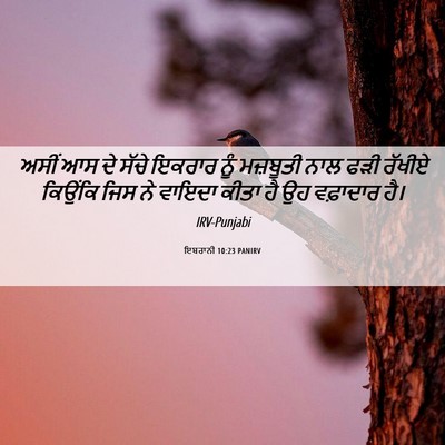 Picture 06 - ਇਬਰਾਨੀ 10:23 PANIRV - ਅਸੀਂ ਆਸ ਦੇ ਸੱਚੇ - Bible Verse Picture