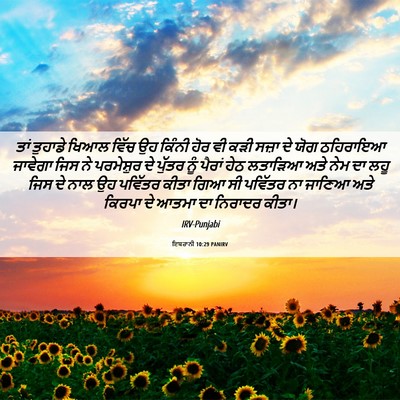 Picture 06 - ਇਬਰਾਨੀ 10:29 PANIRV - ਤਾਂ ਤੁਹਾਡੇ ਖਿਆਲ - Bible Verse Picture