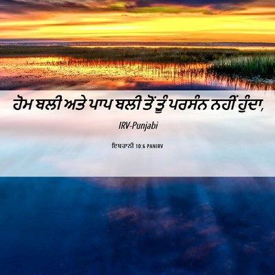 Picture 06 - ਇਬਰਾਨੀ 10:6 PANIRV - ਹੋਮ ਬਲੀ ਅਤੇ ਪਾਪ ਬਲੀ - Bible Verse Picture