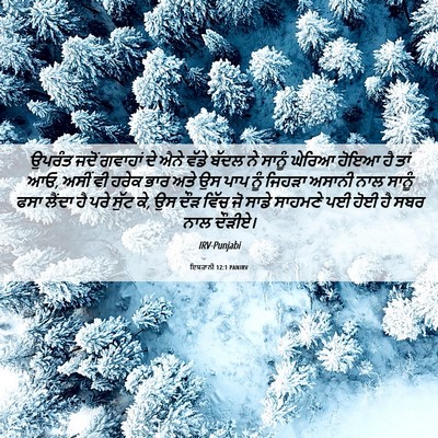 Picture 06 - ਇਬਰਾਨੀ 12:1 PANIRV - ਉਪਰੰਤ ਜਦੋਂ ਗਵਾਹਾਂ - Bible Verse Picture