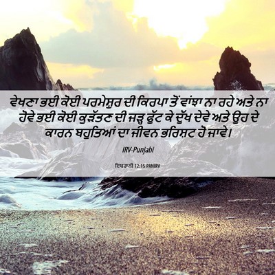 Picture 06 - ਇਬਰਾਨੀ 12:15 PANIRV - ਵੇਖਣਾ ਭਈ ਕੋਈ - Bible Verse Picture