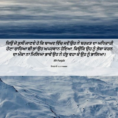 Picture 06 - ਇਬਰਾਨੀ 12:17 PANIRV - ਕਿਉਂ ਜੋ ਤੁਸੀਂ - Bible Verse Picture