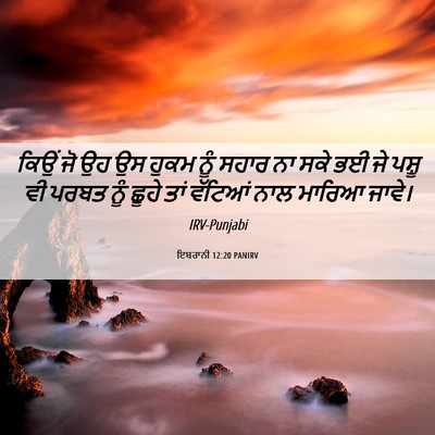 Picture 06 - ਇਬਰਾਨੀ 12:20 PANIRV - ਕਿਉਂ ਜੋ ਉਹ ਉਸ ਹੁਕਮ - Bible Verse Picture