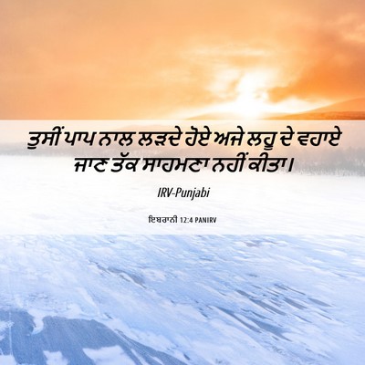 Picture 06 - ਇਬਰਾਨੀ 12:4 PANIRV - ਤੁਸੀਂ ਪਾਪ ਨਾਲ ਲੜਦੇ - Bible Verse Picture