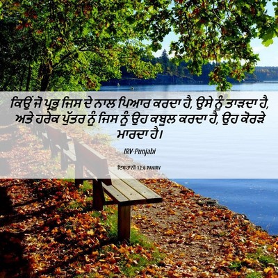 Picture 06 - ਇਬਰਾਨੀ 12:6 PANIRV - ਕਿਉਂ ਜੋ ਪ੍ਰਭੂ ਜਿਸ - Bible Verse Picture