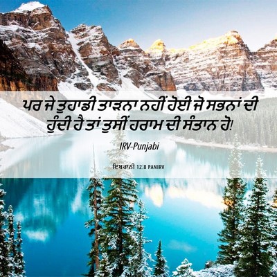 Picture 06 - ਇਬਰਾਨੀ 12:8 PANIRV - ਪਰ ਜੇ ਤੁਹਾਡੀ ਤਾੜਨਾ - Bible Verse Picture