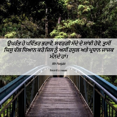 Picture 06 - ਇਬਰਾਨੀ 3:1 PANIRV - ਉਪਰੰਤ ਹੇ ਪਵਿੱਤਰ - Bible Verse Picture
