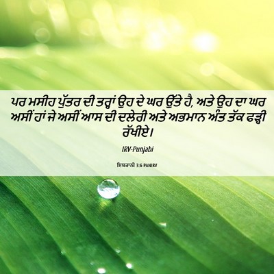 Picture 06 - ਇਬਰਾਨੀ 3:6 PANIRV - ਪਰ ਮਸੀਹ ਪੁੱਤਰ ਦੀ - Bible Verse Picture