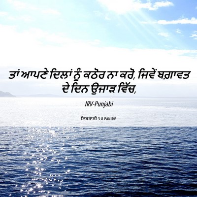 Picture 06 - ਇਬਰਾਨੀ 3:8 PANIRV - ਤਾਂ ਆਪਣੇ ਦਿਲਾਂ ਨੂੰ - Bible Verse Picture