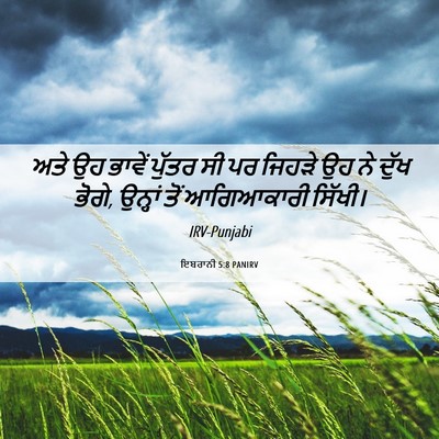Picture 06 - ਇਬਰਾਨੀ 5:8 PANIRV - ਅਤੇ ਉਹ ਭਾਵੇਂ ਪੁੱਤਰ - Bible Verse Picture