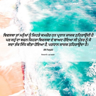 Picture 06 - ਇਬਰਾਨੀ 7:28 PANIRV - ਬਿਵਸਥਾ ਤਾਂ - Bible Verse Picture
