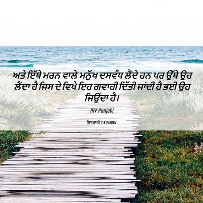 Picture 06 - ਇਬਰਾਨੀ 7:8 PANIRV - ਅਤੇ ਇੱਥੇ ਮਰਨ ਵਾਲੇ - Bible Verse Picture