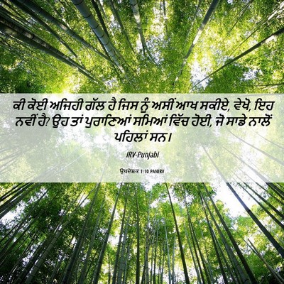Picture 06 - ਉਪਦੇਸ਼ਕ 1:10 PANIRV - ਕੀ ਕੋਈ ਅਜਿਹੀ ਗੱਲ ਹੈ - Bible Verse Picture