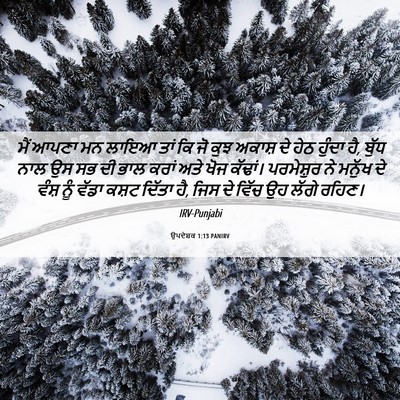 Picture 06 - ਉਪਦੇਸ਼ਕ 1:13 PANIRV - ਮੈਂ ਆਪਣਾ ਮਨ ਲਾਇਆ - Bible Verse Picture