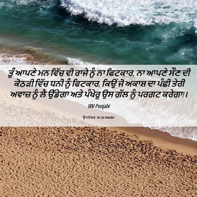 Picture 06 - ਉਪਦੇਸ਼ਕ 10:20 PANIRV - ਤੂੰ ਆਪਣੇ ਮਨ ਵਿੱਚ ਵੀ - Bible Verse Picture