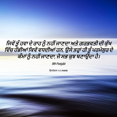 Picture 06 - ਉਪਦੇਸ਼ਕ 11:5 PANIRV - ਜਿਵੇਂ ਤੂੰ ਹਵਾ ਦੇ - Bible Verse Picture