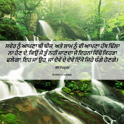 Picture 06 - ਉਪਦੇਸ਼ਕ 11:6 PANIRV - ਸਵੇਰ ਨੂੰ ਆਪਣਾ ਬੀ - Bible Verse Picture