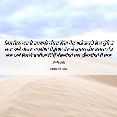 Picture 06 - ਉਪਦੇਸ਼ਕ 12:3 PANIRV - ਜਿਸ ਦਿਨ ਘਰ ਦੇ - Bible Verse Picture